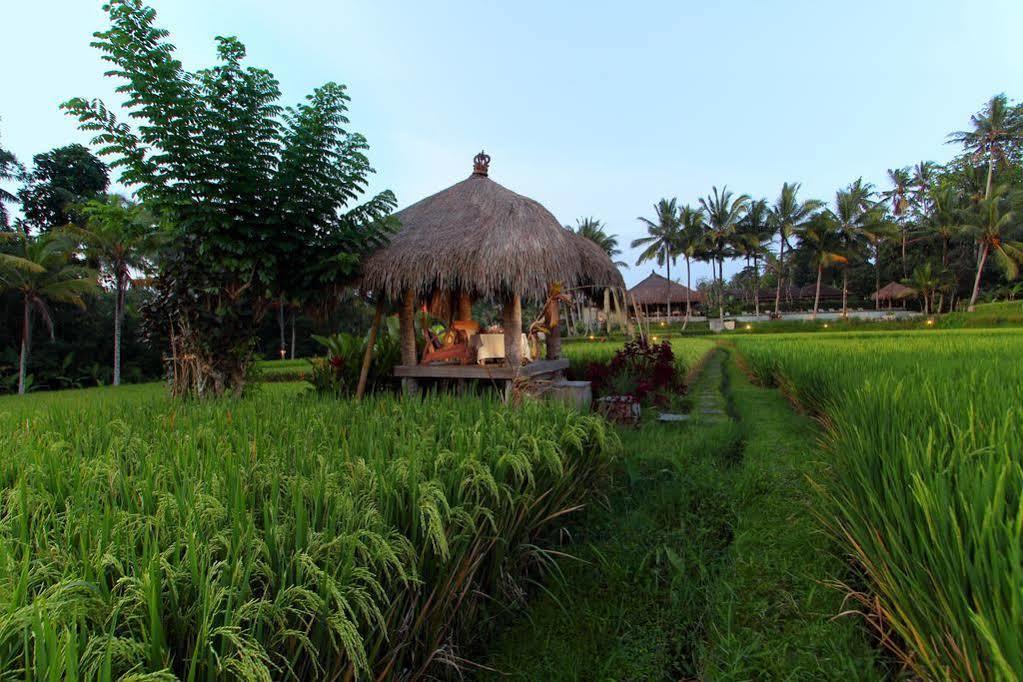 Kencana Ubud By Mahaputra Zewnętrze zdjęcie